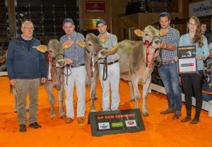 Abt. 3 1.Rang Jongleur Josephin Arnold HR 2. Salomon Sienna Schilig Sonia 3.Rang Joe Fara von G-Wal Mountain Cows 2